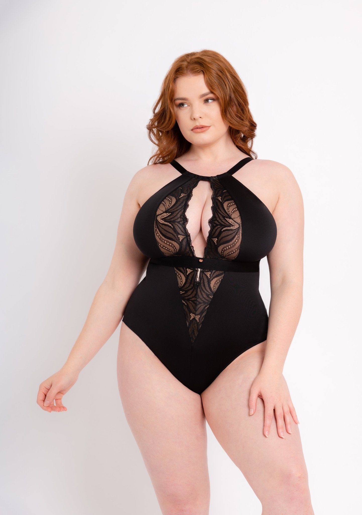Scantilly - Indulgence stretch lace body in black/latte